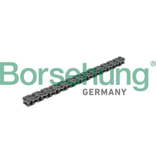 Borsehung Steuerkette B18228
