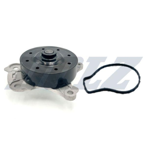 DOLZ Wasserpumpe, Motork&uuml;hlung T235