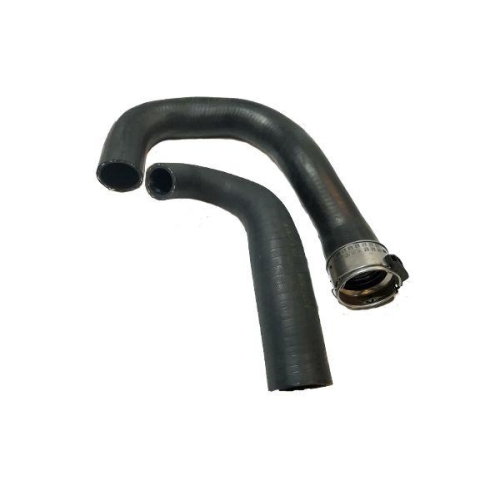 BUGIAD Ladeluftschlauch 85620