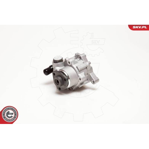 ESEN SKV Hydraulikpumpe, Lenkung