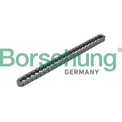 Borsehung Steuerkette B17885