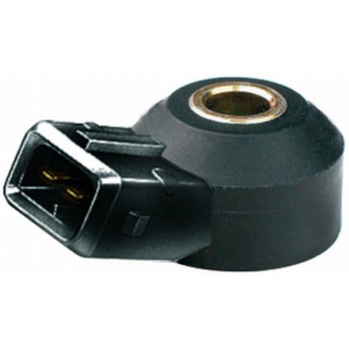 HELLA Klopfsensor 6PG 009 108-571