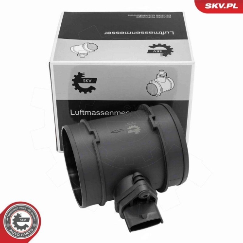 ESEN SKV Luftmassenmesser