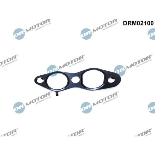 Dr.Motor Automotive Dichtung, AGR-Ventil DRM02100