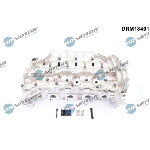 Dr.Motor Automotive Zylinderkopf DRM18401