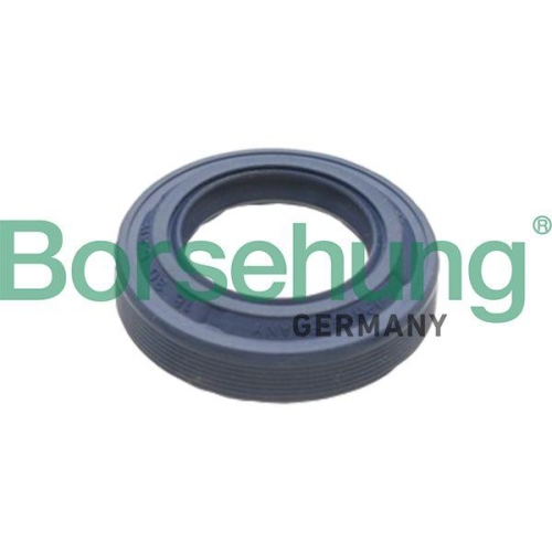Borsehung Wellendichtring, Differential B17828