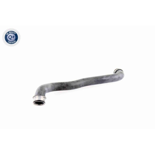 VAICO Kühlerschlauch Q+, Erstausrüsterqualität V30-1653