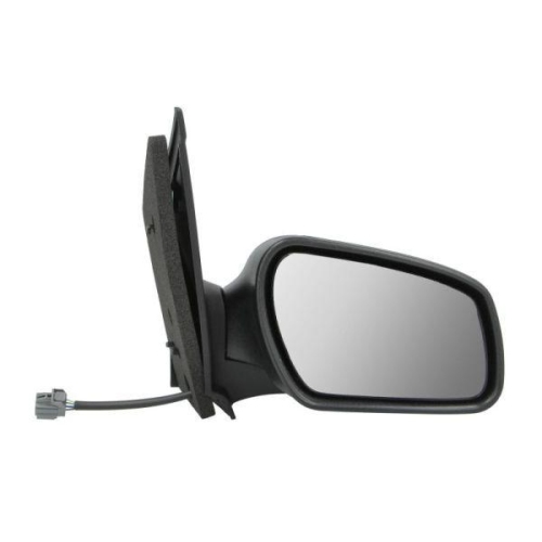 BLIC Au&szlig;enspiegel 5402-04-1122298P