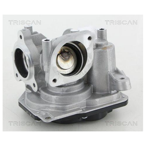 TRISCAN AGR-Ventil 8813 10031