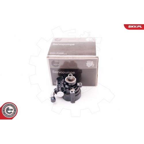 ESEN SKV Hydraulikpumpe, Lenkung