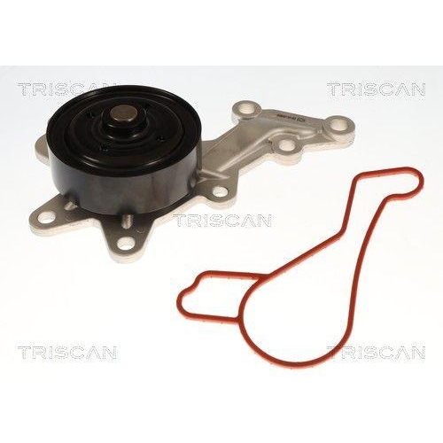 TRISCAN Wasserpumpe, Motork&uuml;hlung 8600 13059