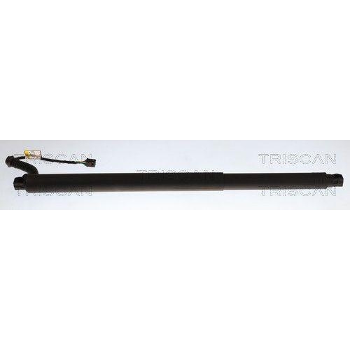 TRISCAN Gasfeder, Koffer-/Laderaum 8710 29340