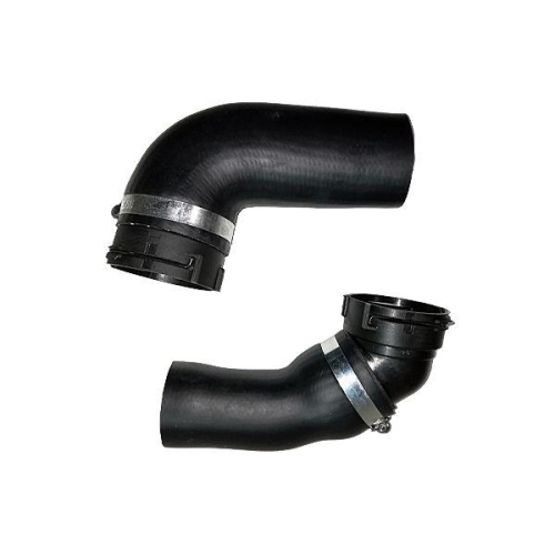 BUGIAD Ladeluftschlauch 88452