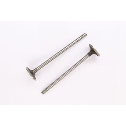 CORTECO Einlassventil 551861B