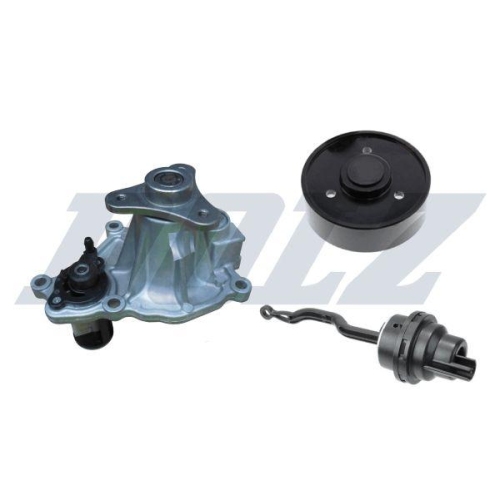DOLZ Wasserpumpe, Motork&uuml;hlung B269V