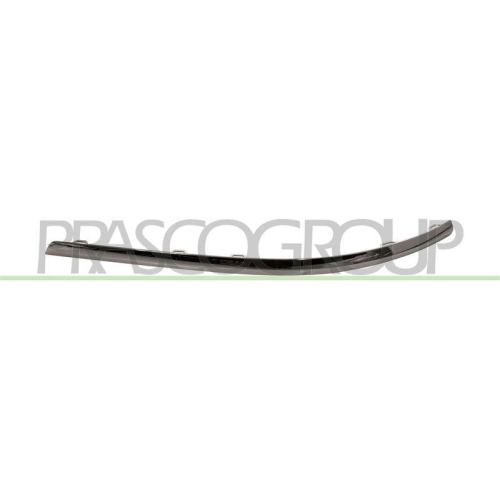 PRASCO Zier-/Schutzleiste, Sto&szlig;f&auml;nger VG0551274