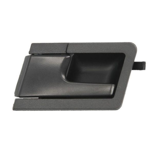 BLIC Türgriff, Innenausstattung 6010-01-013409P