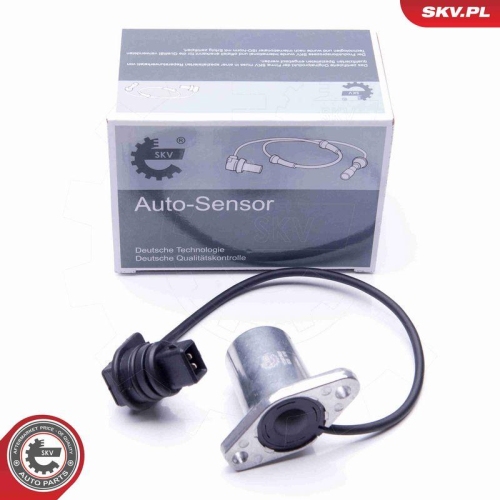ESEN SKV Sensor, Motor&ouml;lstand 17SKV407
