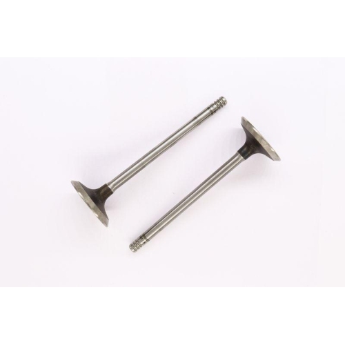 CORTECO Einlassventil 551867B