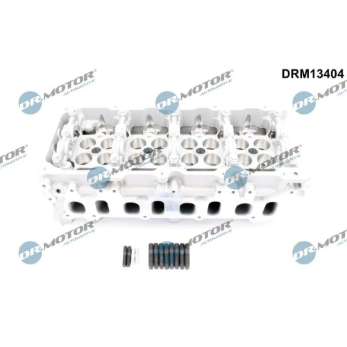 Dr.Motor Automotive Zylinderkopf DRM13404
