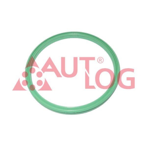 AUTLOG Dichtring, Ladeluftschlauch DI1028
