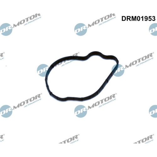 Dr.Motor Automotive Dichtung, Einspritzpumpe