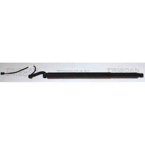 TRISCAN Gasfeder, Koffer-/Laderaum 8710 43318