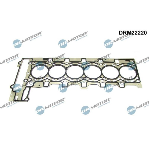 Dr.Motor Automotive Dichtung, Zylinderkopf DRM22220