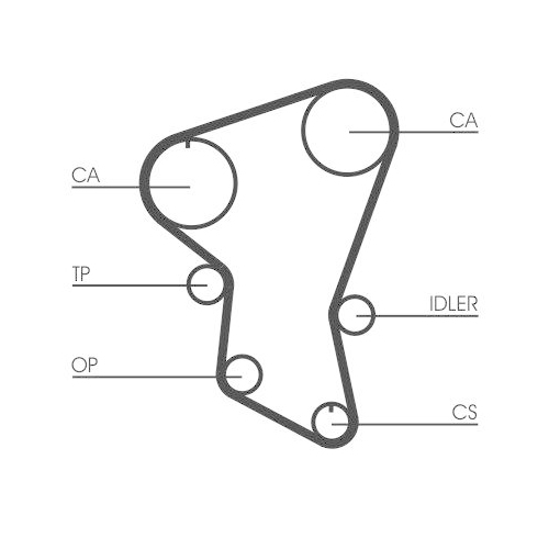 CONTINENTAL CTAM Zahnriemen CT516