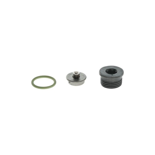BOSCH Reparatursatz, Common-Rail-System F 00N 201 244