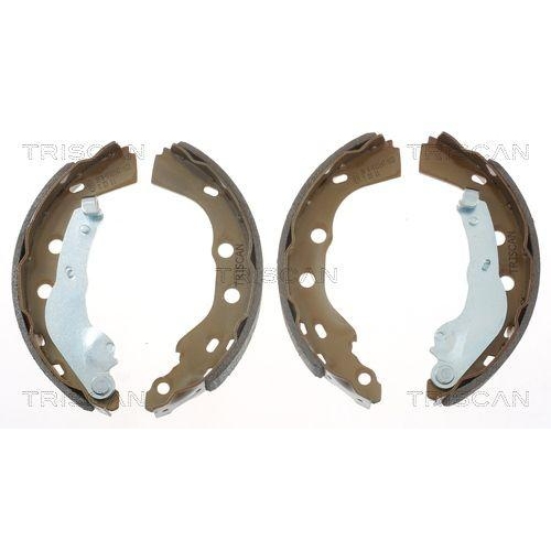 TRISCAN Bremsbackensatz 8100 10025