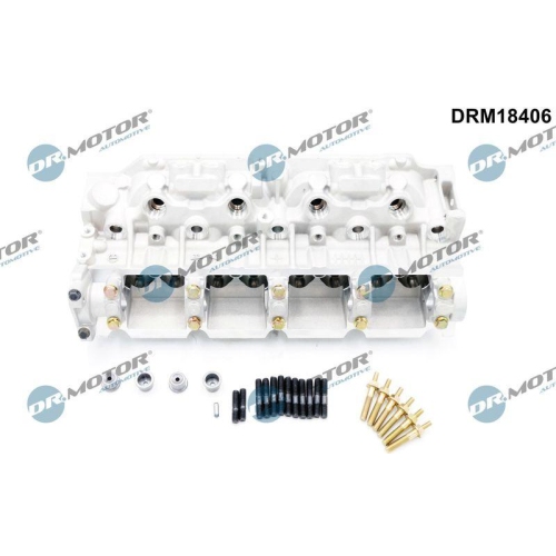 Dr.Motor Automotive Zylinderkopf DRM18406
