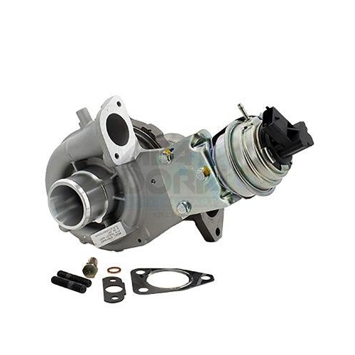 MEAT & DORIA Lader, Aufladung 65201