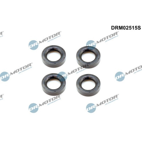 Dr.Motor Automotive Dichtring, Kerzenschacht DRM02515S