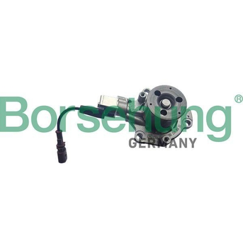 Borsehung Wasserpumpe, Motork&uuml;hlung B11224