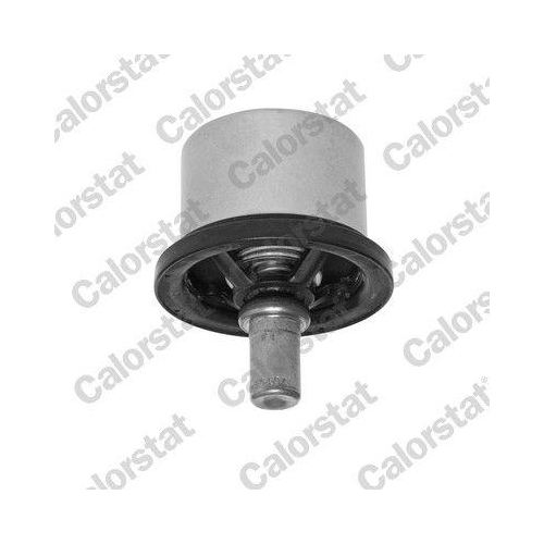 CALORSTAT by Vernet Thermostat, K&uuml;hlmittel THS19054.86