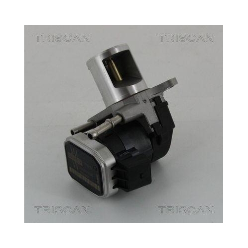 TRISCAN AGR-Ventil 8813 23016