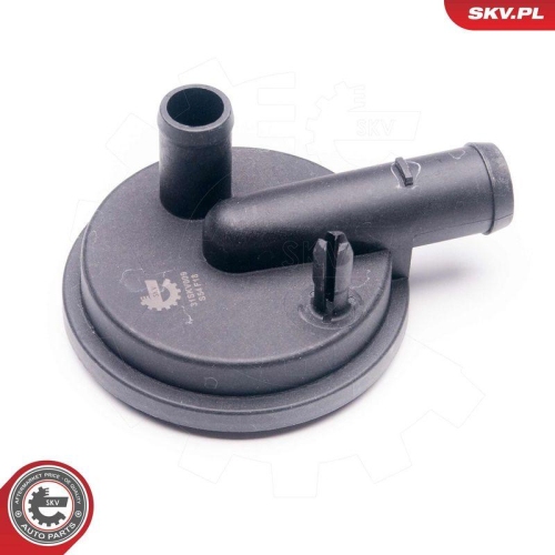 ESEN SKV Ventil, Kurbelgeh&auml;useentl&uuml;ftung 31SKV009