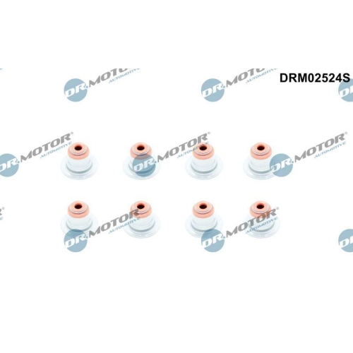 Dr.Motor Automotive Dichtungssatz, Ventilschaft DRM02524S