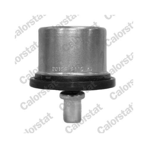 CALORSTAT by Vernet Thermostat, K&uuml;hlmittel THS19125.91