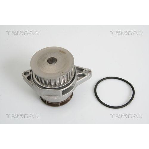 TRISCAN Wasserpumpe, Motork&uuml;hlung 8600 29010