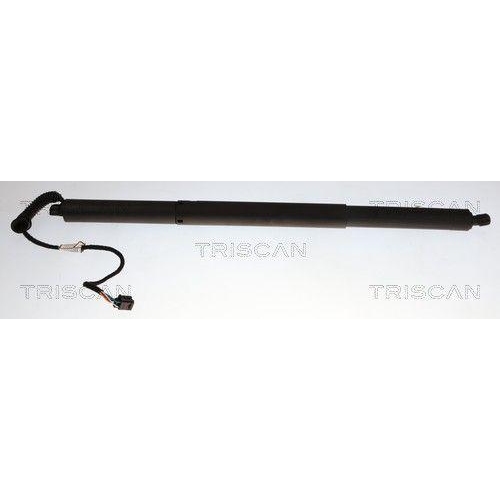 TRISCAN Gasfeder, Koffer-/Laderaum 8710 29338