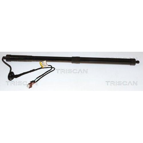 TRISCAN Gasfeder, Koffer-/Laderaum 8710 25301