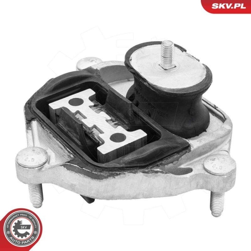 ESEN SKV Lagerung, Automatikgetriebe 75SKV821