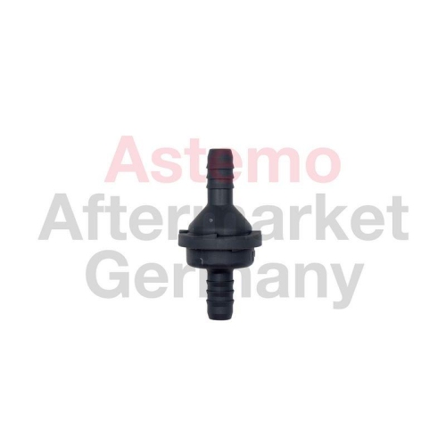 ASTEMO R&uuml;ckschlagventil 2509314