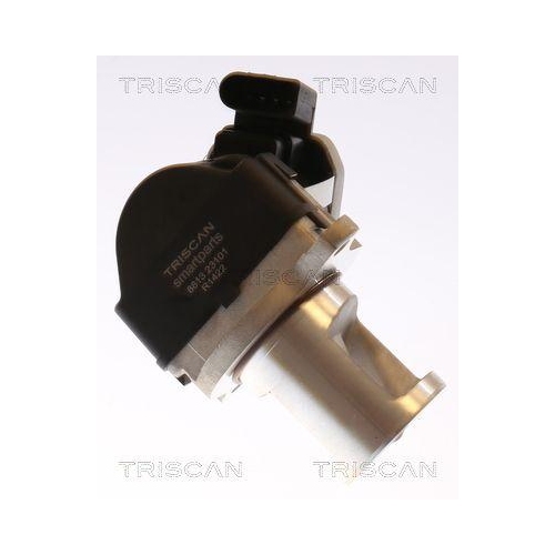 TRISCAN AGR-Ventil 8813 23101
