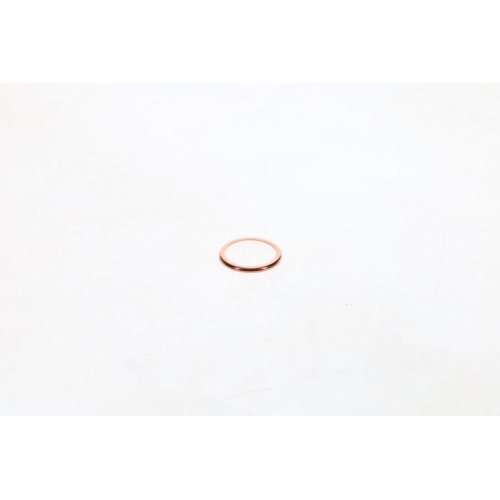 BOSCH Dichtung 1 420 211 005