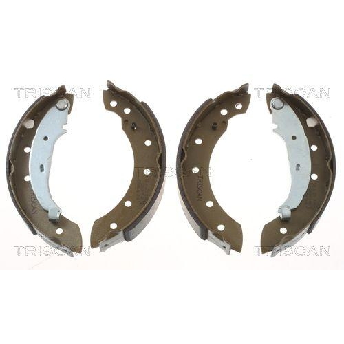 TRISCAN Bremsbackensatz 8100 10572