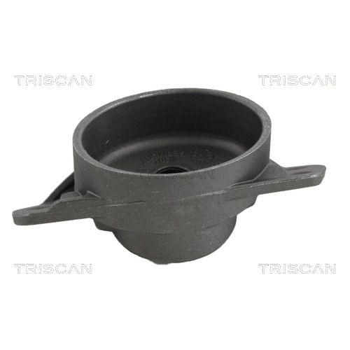 TRISCAN Federbeinst&uuml;tzlager 8500 29921