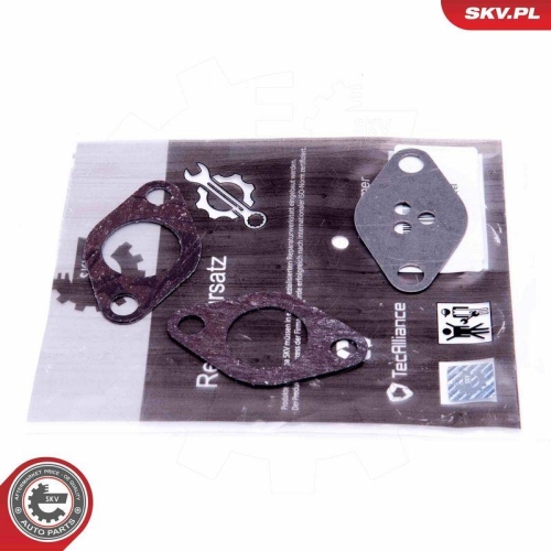 ESEN SKV Reparatursatz, AGR-Ventil 14SKV525